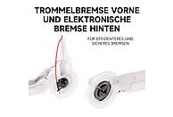 SEGWAY Ninebot E3 D E-Scooter – 10 Zoll, 25 km/h, Klappbar & Stylisch | Schwarz / Silber / Rot